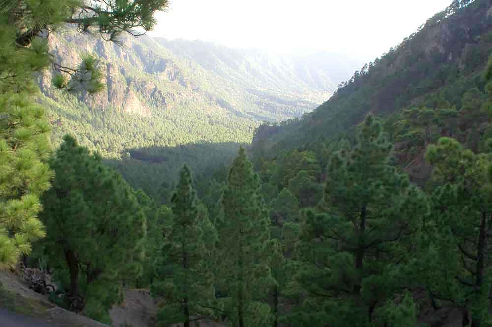 30 - La Palma, caldera de Taburiente, mirador de la Cumbrecita